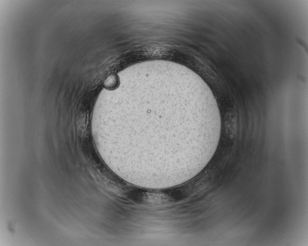 X0000102760605200809080943