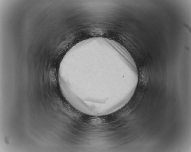 X0000102760616200809080943