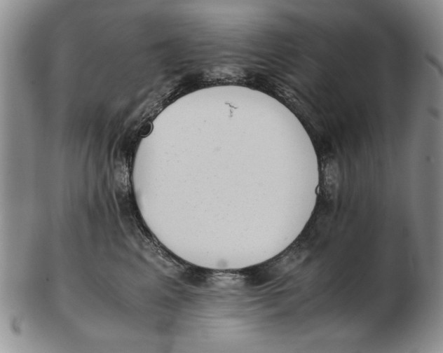 X0000102760617200809080943