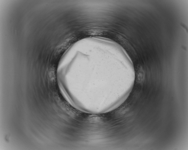 X0000102760620200809080943