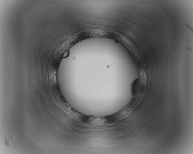 X0000102760621200809080943