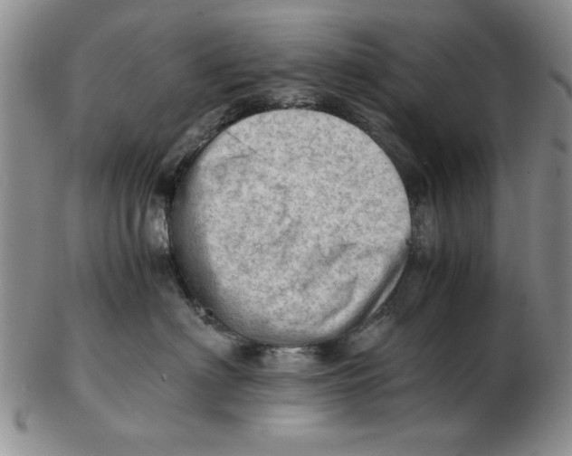 X0000102760622200809080943