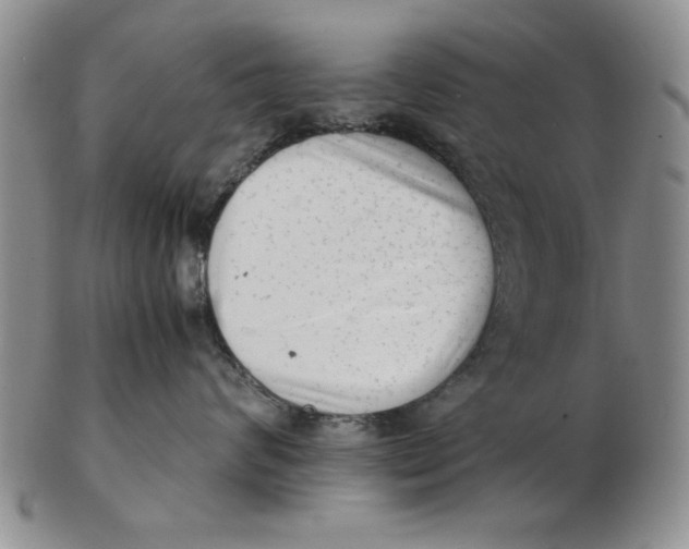 X0000102760624200809080943