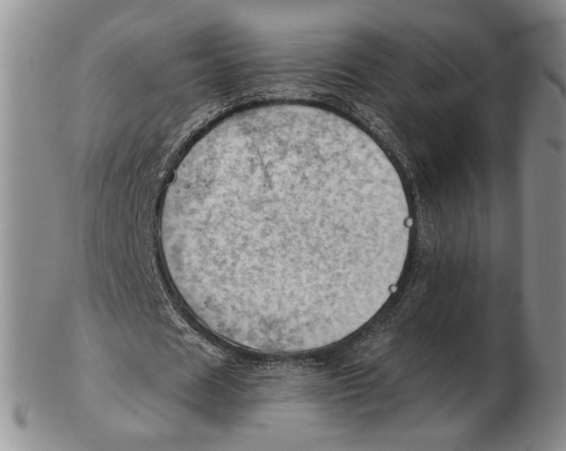 X0000102760625200809080942