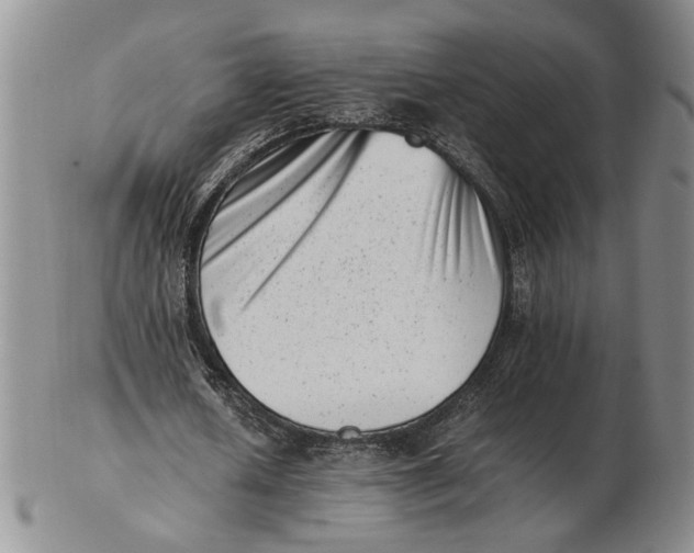 X0000102760626200809080942