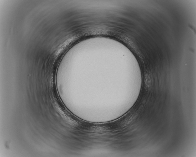 X0000102760629200809080942