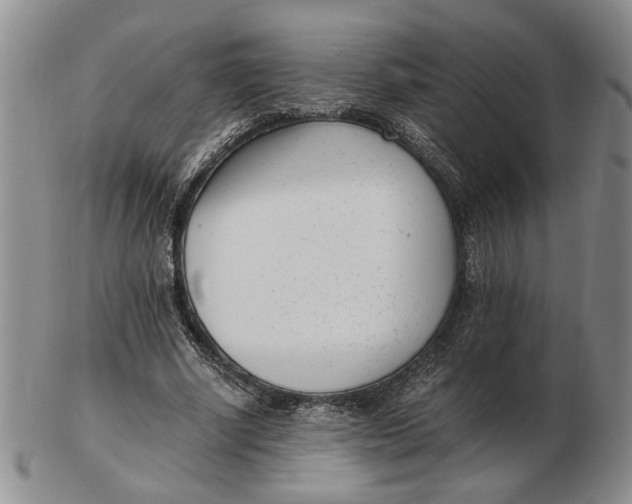 X0000102760634200809080942