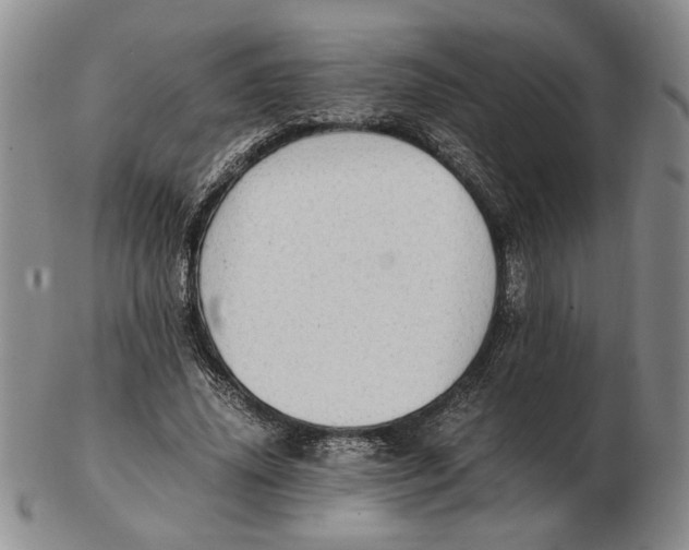 X0000102760636200809080942