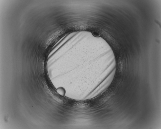 X0000102760638200809080942