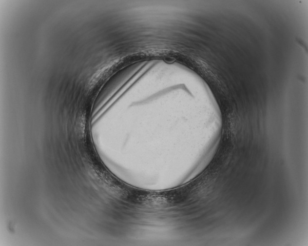 X0000102760640200809080942