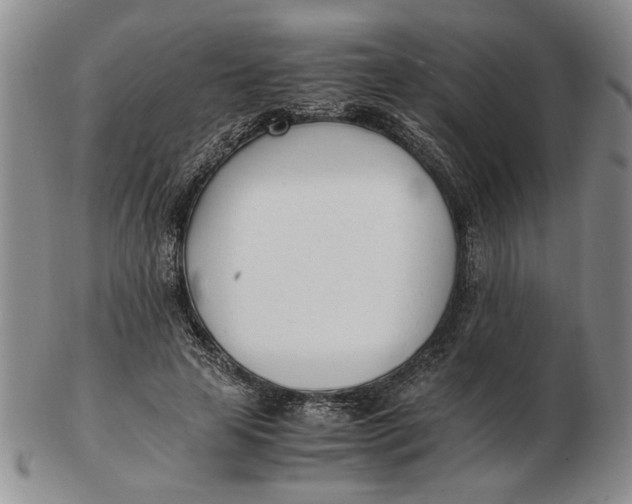 X0000102760641200809080942