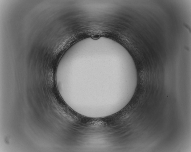 X0000102760642200809080942