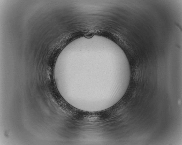 X0000102760643200809080942