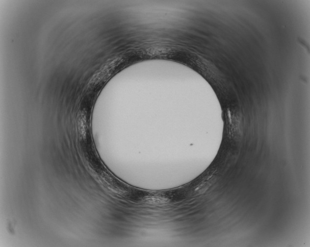 X0000102760644200809080942