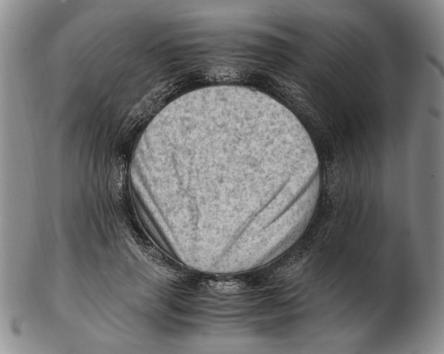 X0000102760645200809080942