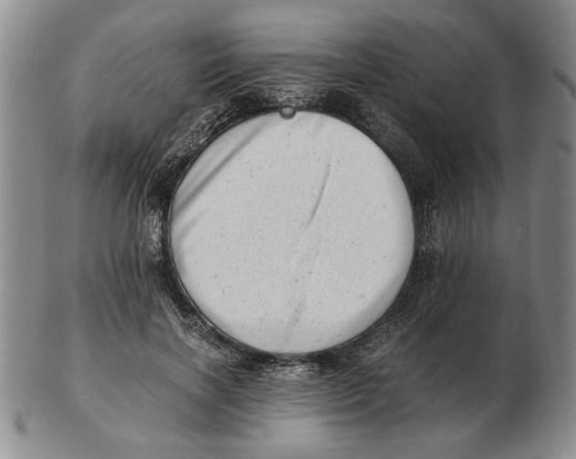 X0000102760646200809080942