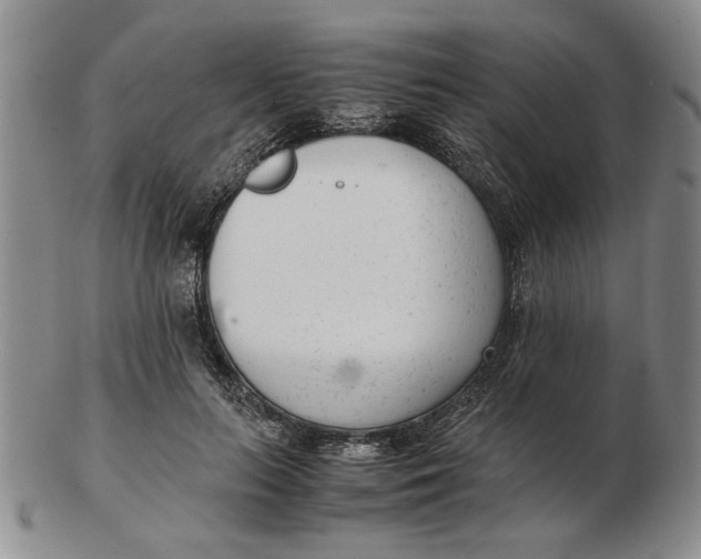 X0000102760647200809080942