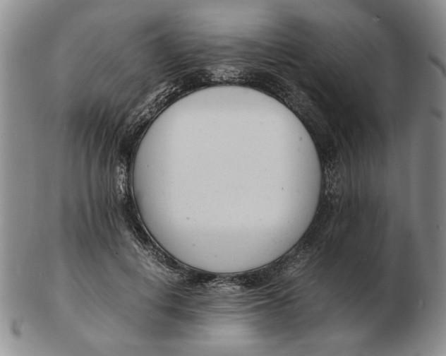 X0000102760648200809080942