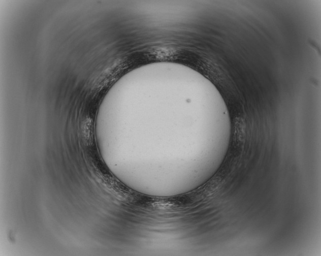 X0000102760650200809080942