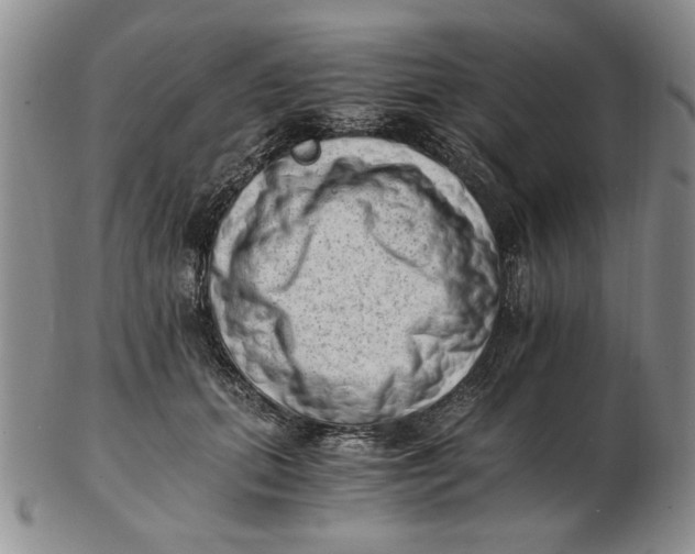 X0000102760655200809080942