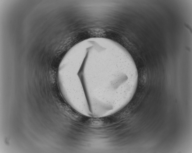 X0000102760658200809080942