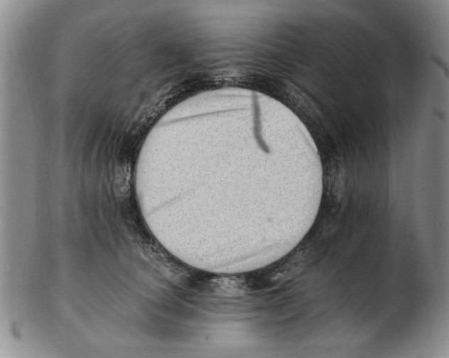 X0000102760660200809080942