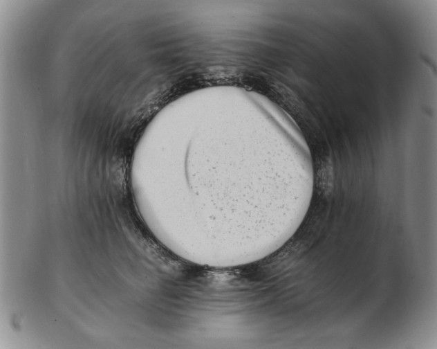 X0000102760662200809080942