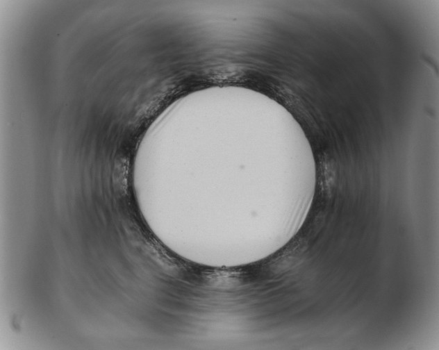 X0000102760664200809080942