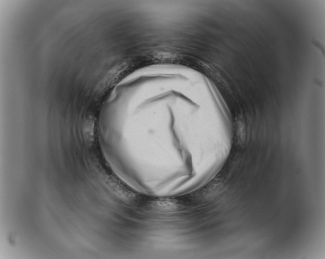 X0000102760668200809080942