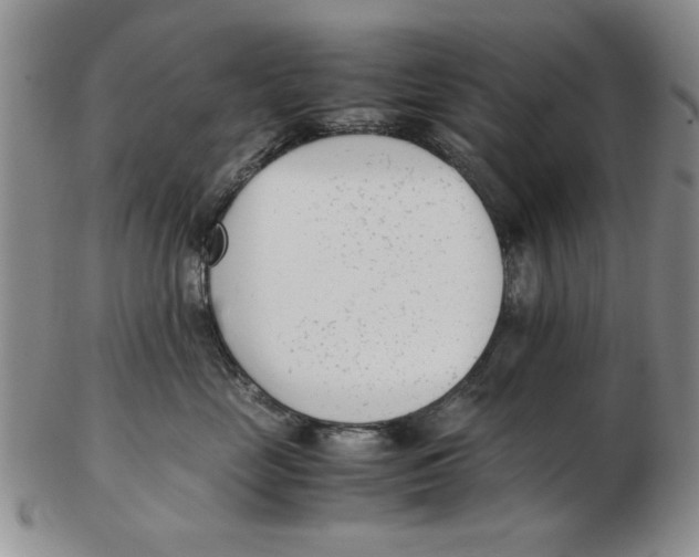 X0000102760669200809080943