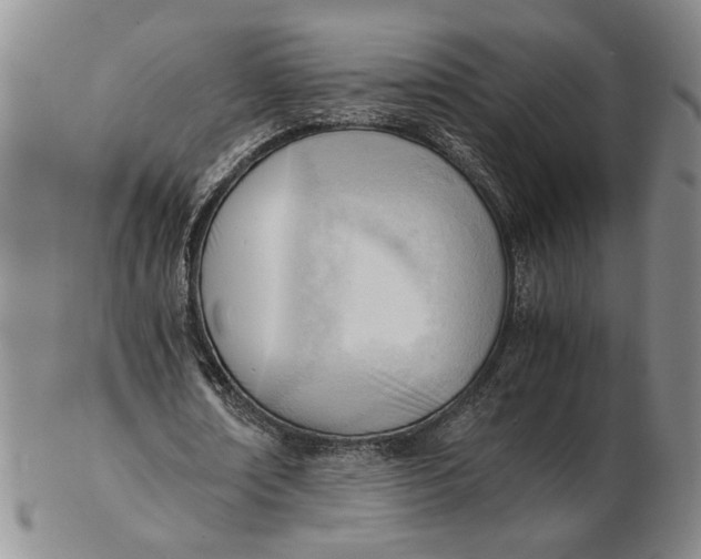 X0000102760674200809080942