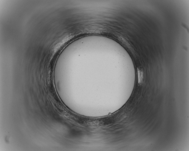 X0000102760675200809080942