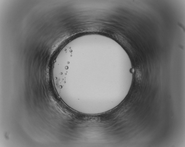 X0000102760676200809080942