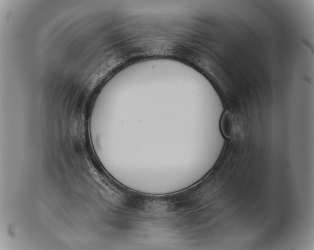 X0000102760677200809080942