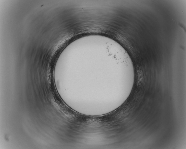 X0000102760680200809080942