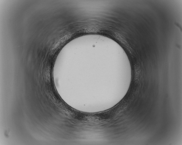 X0000102760681200809080942