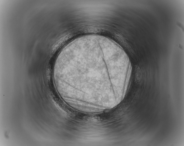 X0000102760683200809080942