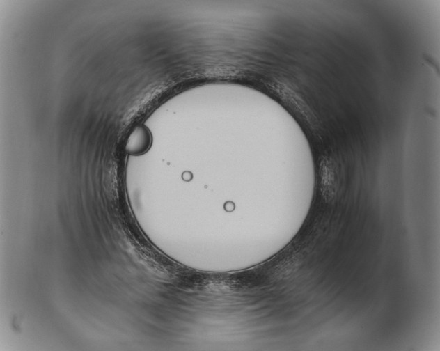 X0000102760684200809080942