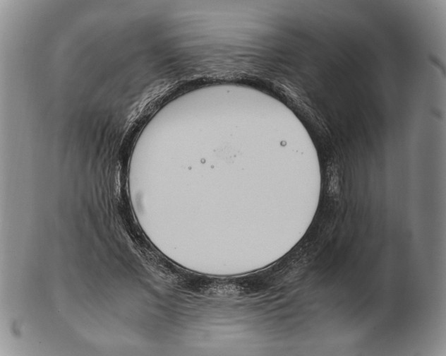 X0000102760685200809080942