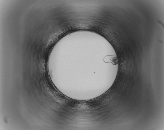 X0000102760688200809080941