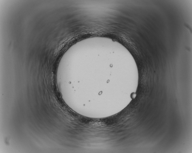 X0000102760689200809080941