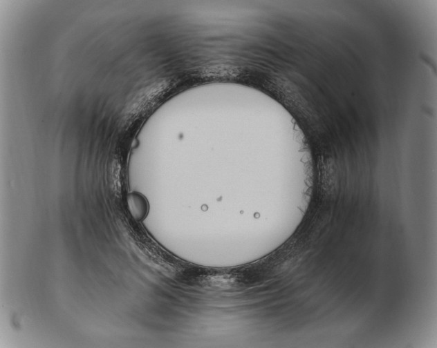 X0000102760692200809080941