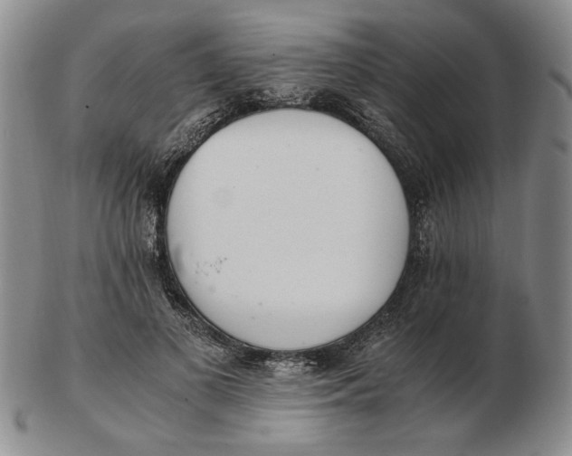 X0000102760693200809080941