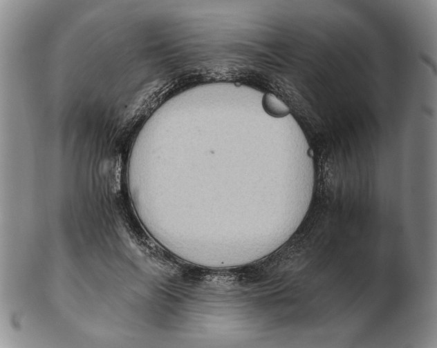 X0000102760694200809080941