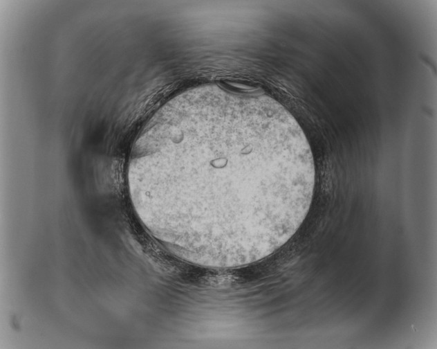 X0000102760695200809080941