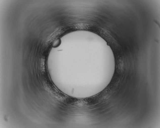 X0000102760696200809080941