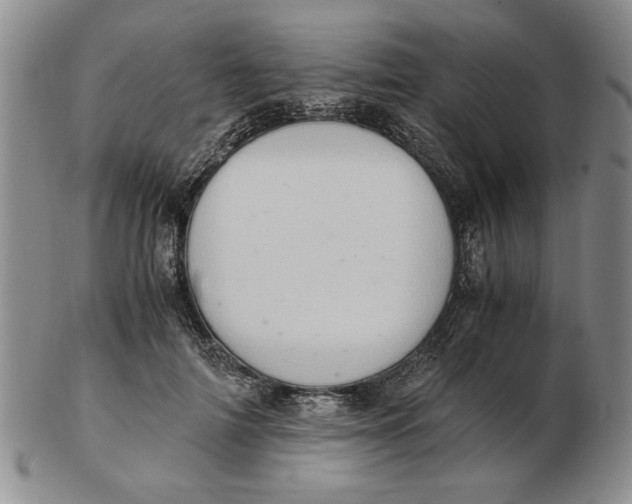 X0000102760698200809080941