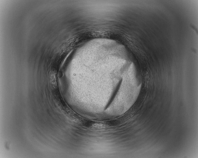 X0000102760699200809080941