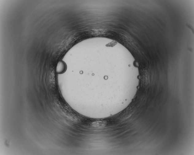 X0000102760700200809080941