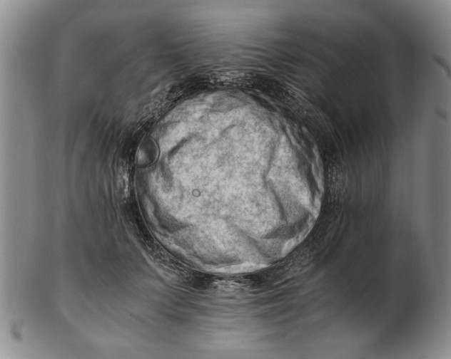 X0000102760703200809080941